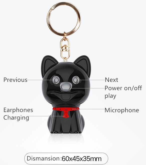 dpg keychain audiorecorder