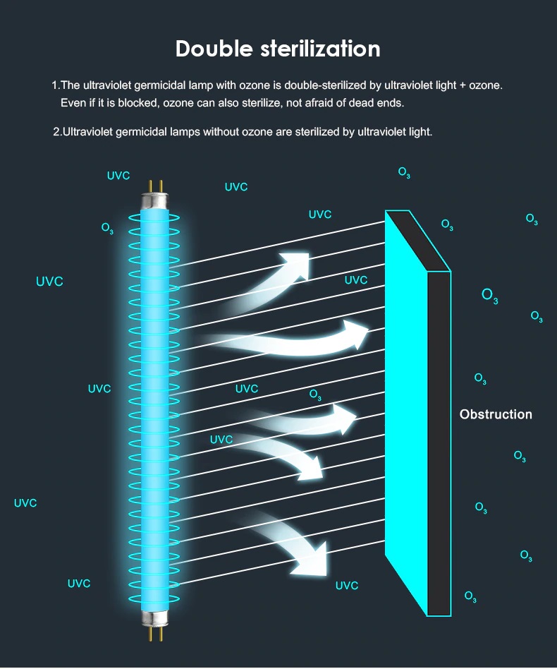 UV- und Ozondesinfektion