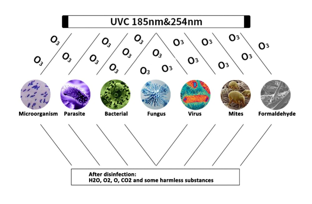 UV-Desinfektion