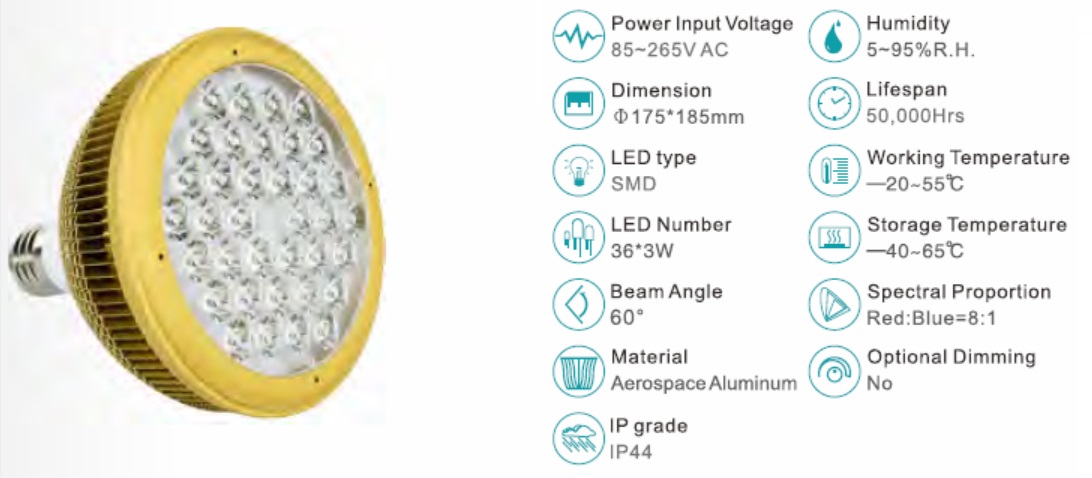 LED-Lampenwerk