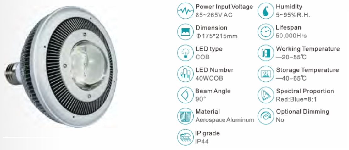 LED-Lampenwerk